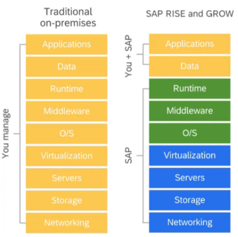 SAP Managed Services Provider